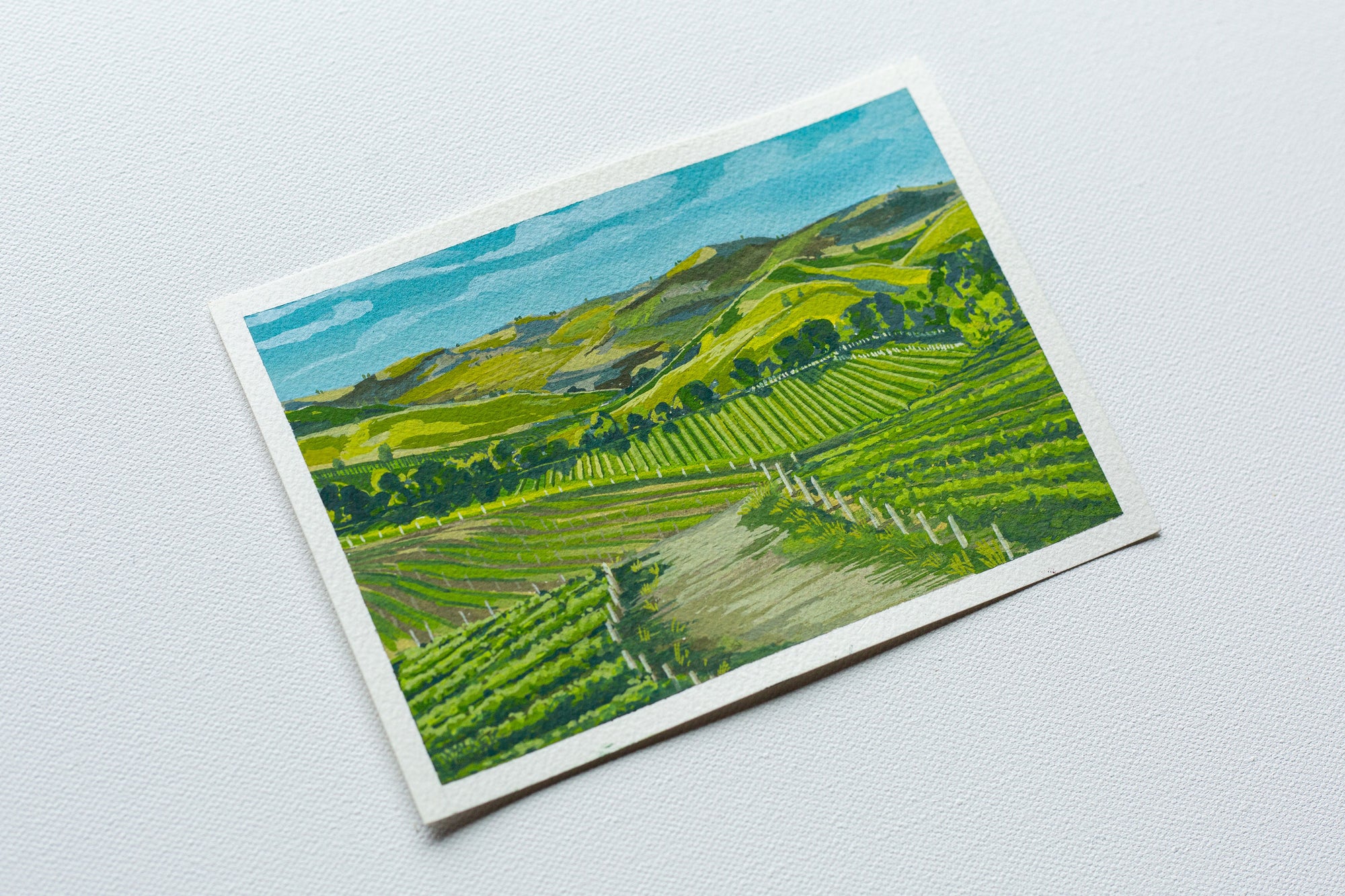 "SONOMA VALLEY" STUDY
