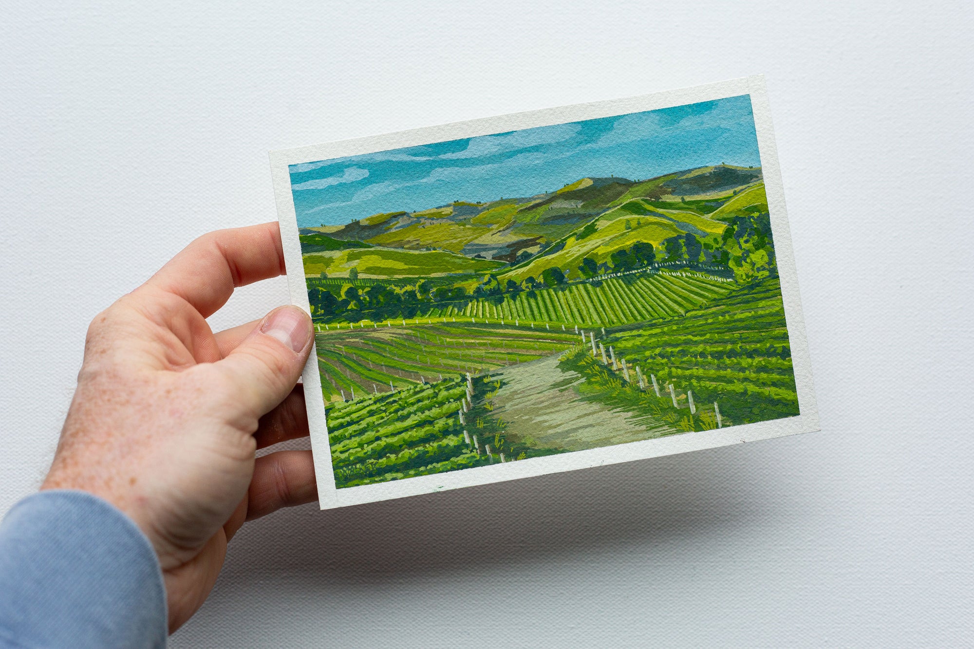 "SONOMA VALLEY" STUDY