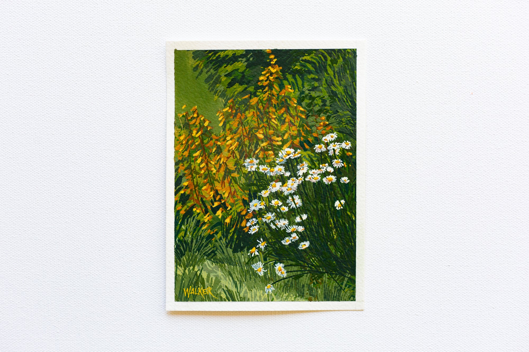 "SPRING YELLOWS"
