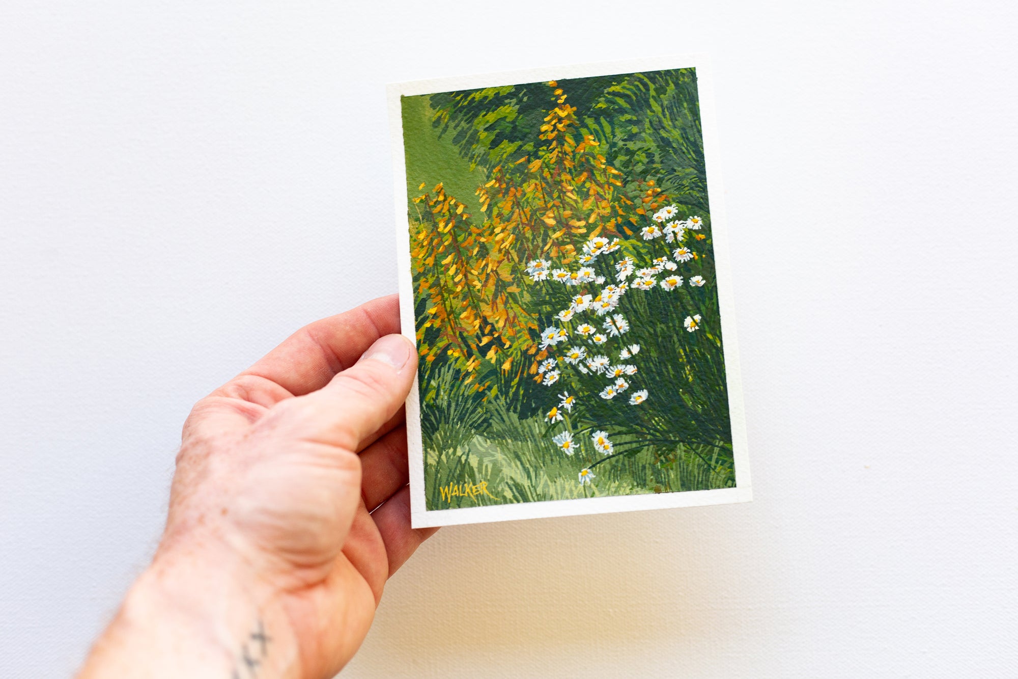 "SPRING YELLOWS"