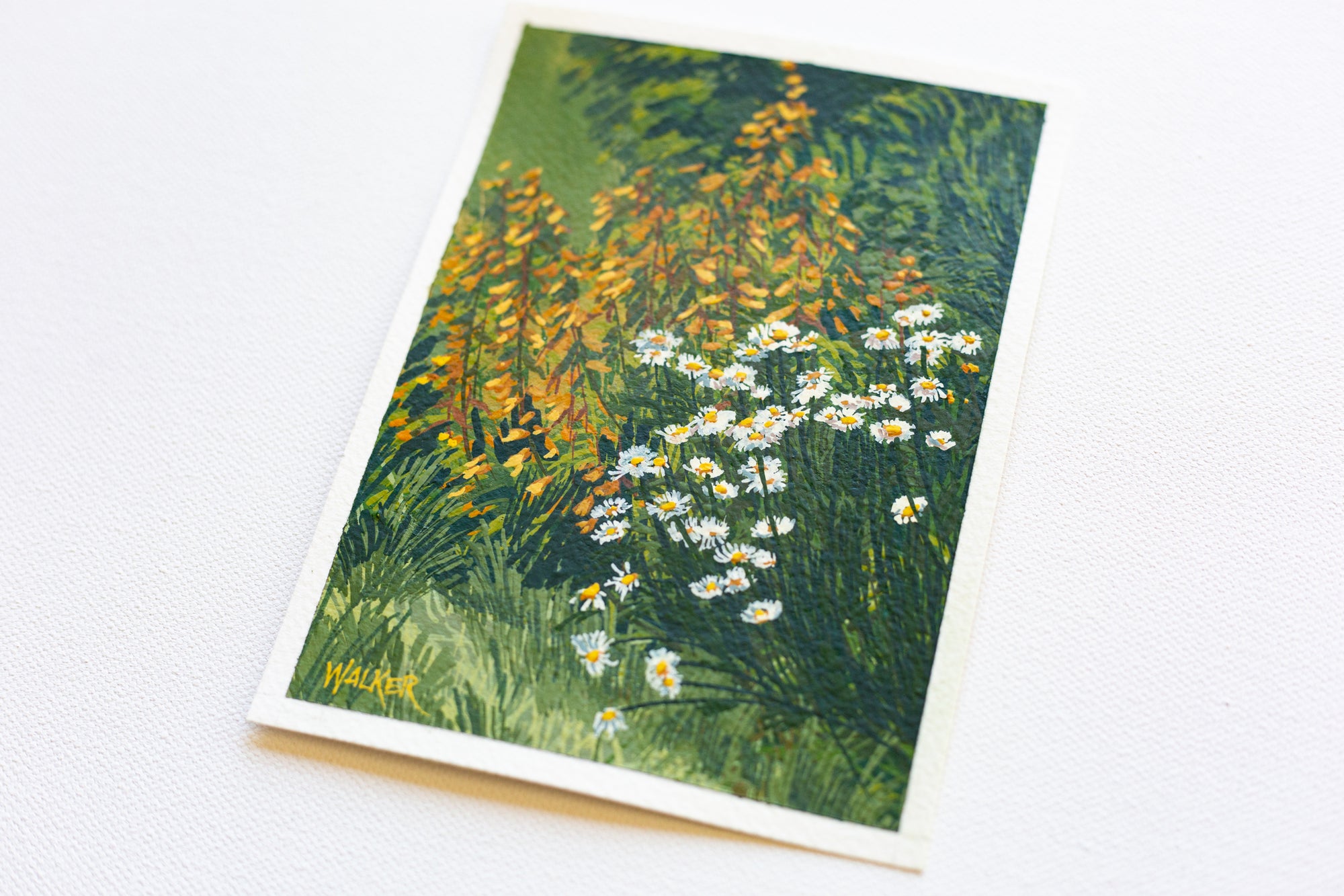 "SPRING YELLOWS"