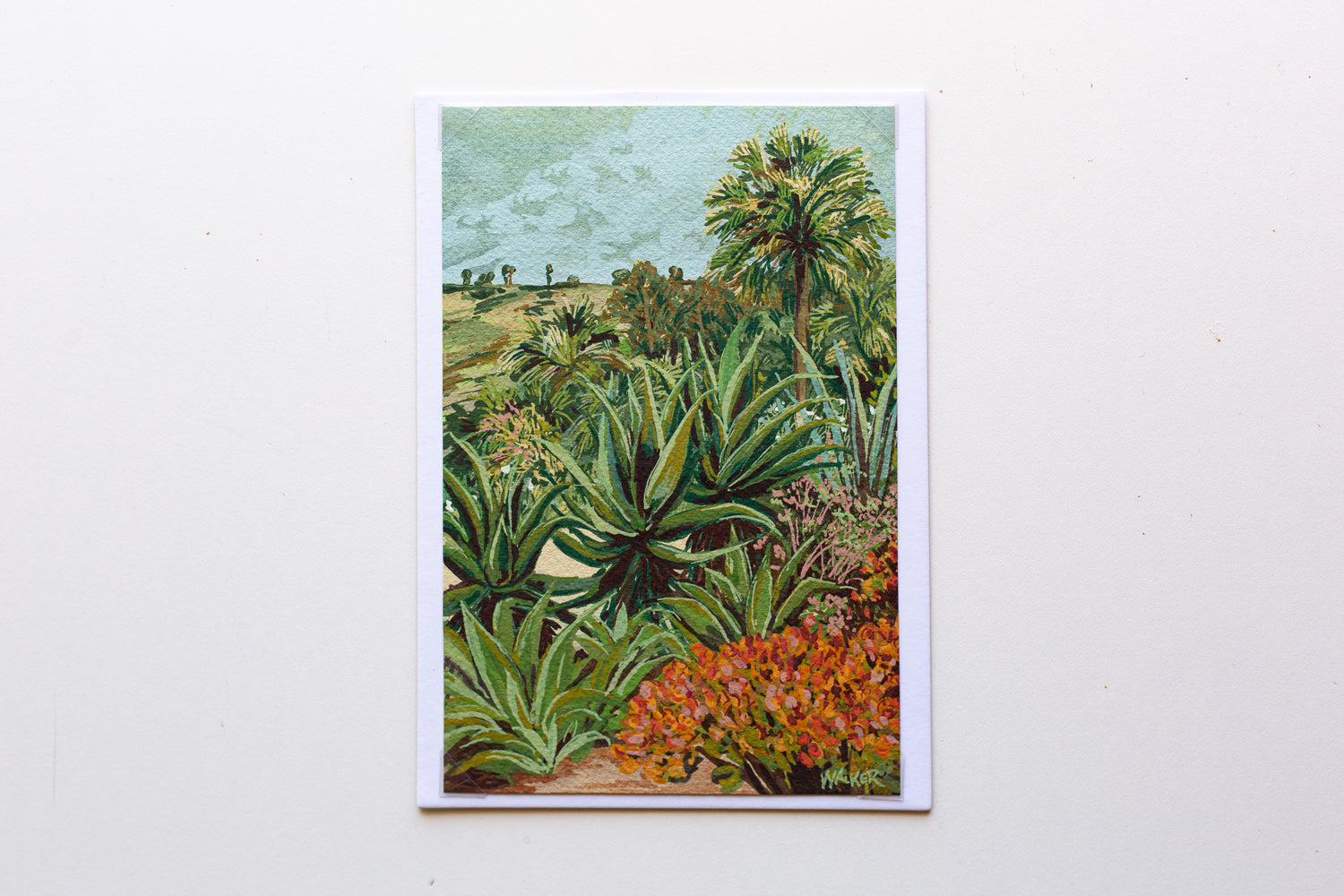 "SUCCULENT ROW" STUDY