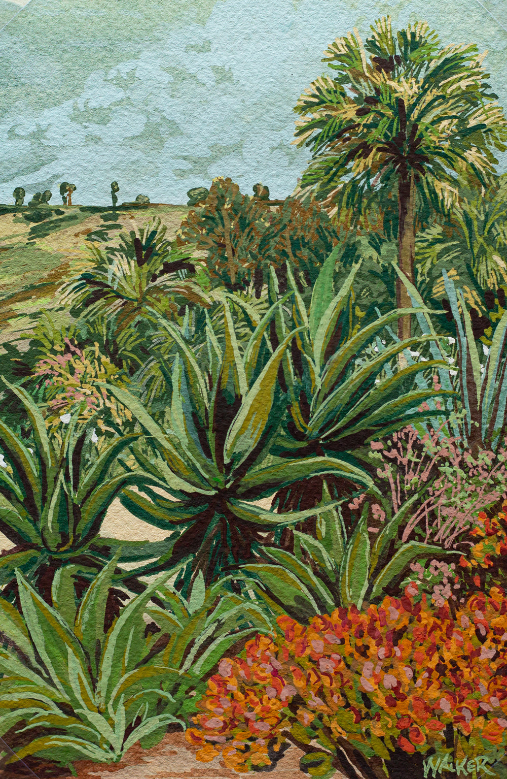 "SUCCULENT ROW" STUDY