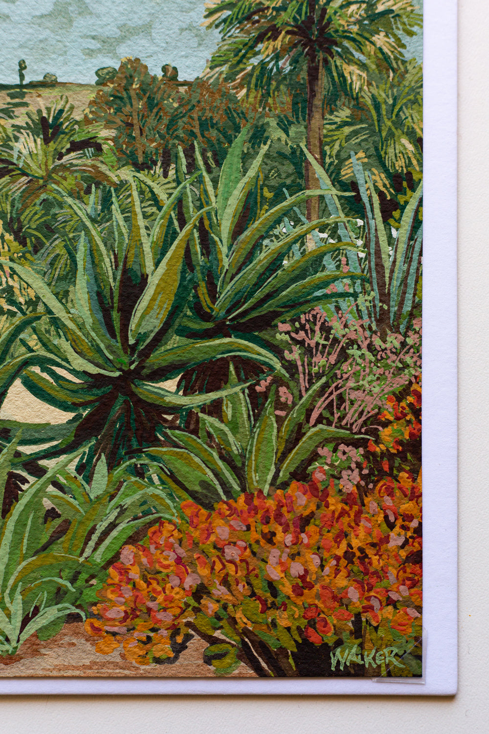 "SUCCULENT ROW" STUDY