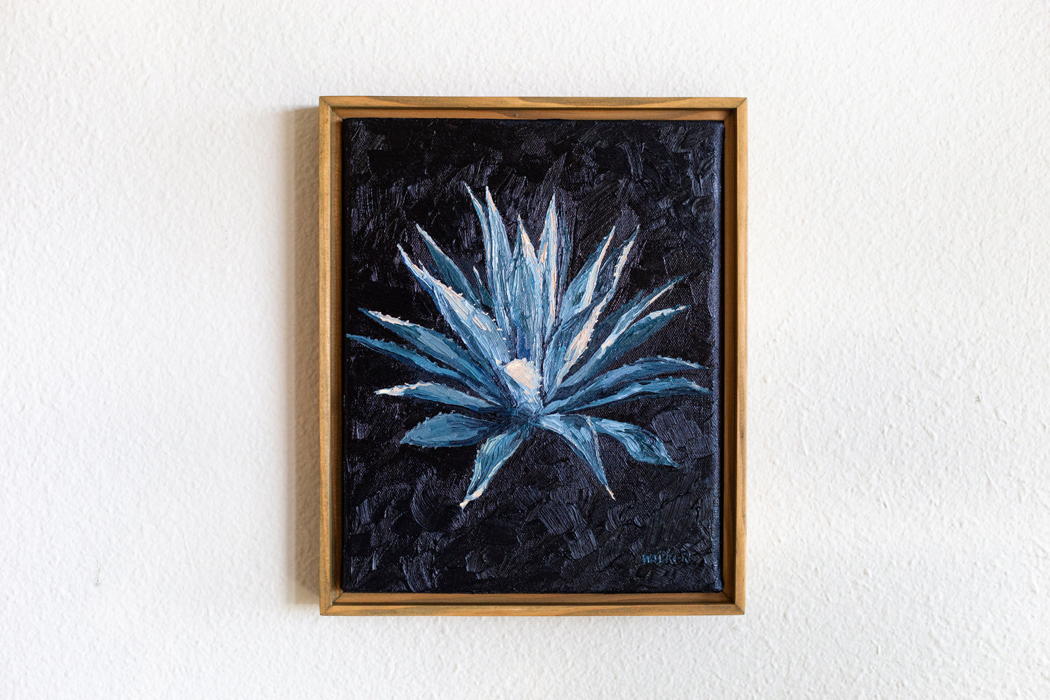 "SUNSET AGAVE CENTURY"