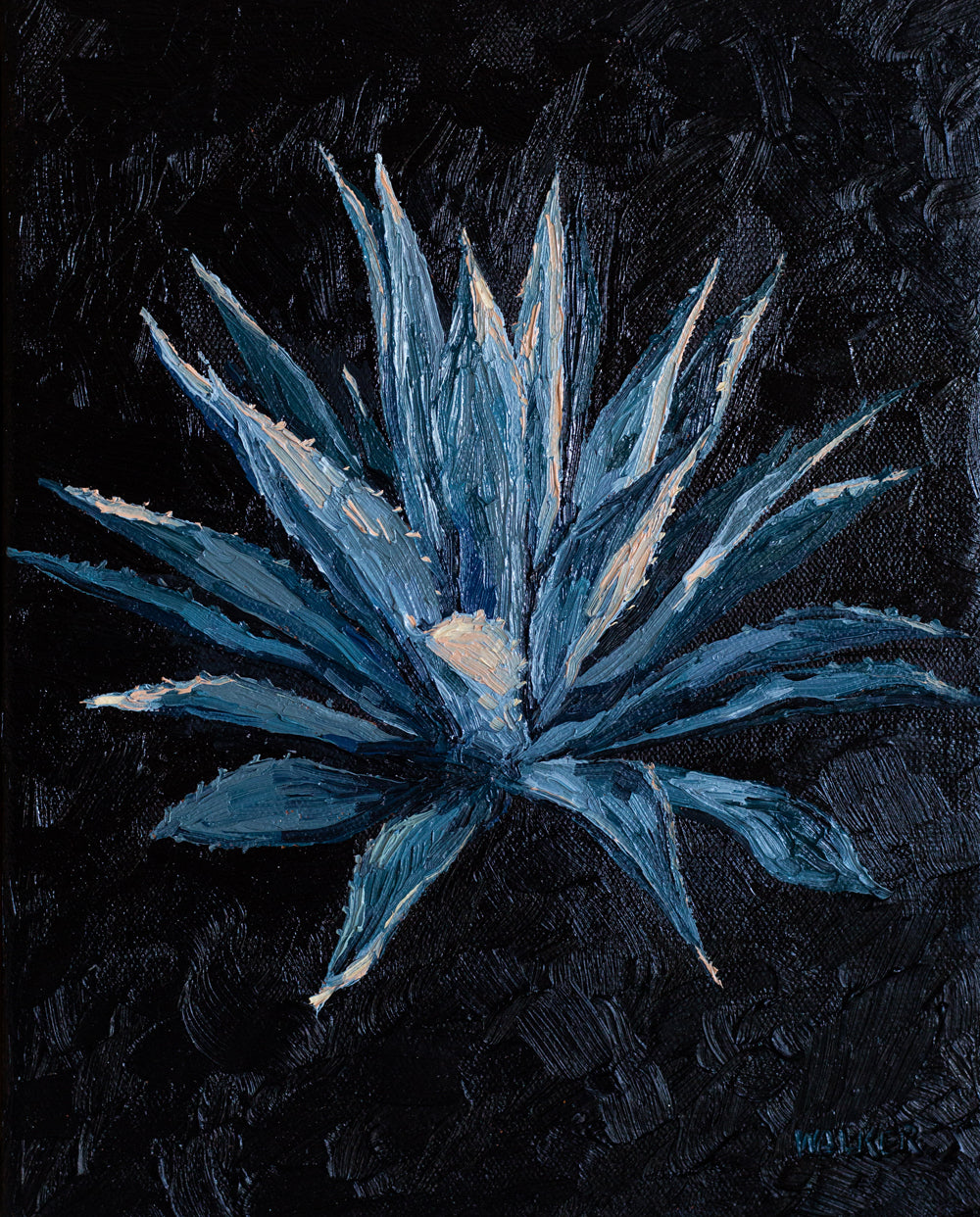 "SUNSET AGAVE CENTURY"