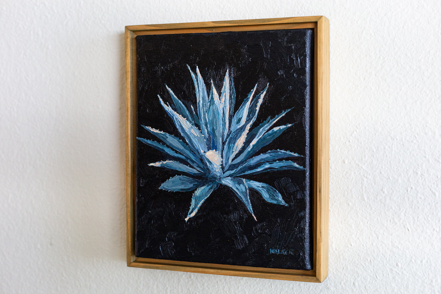 "SUNSET AGAVE CENTURY"