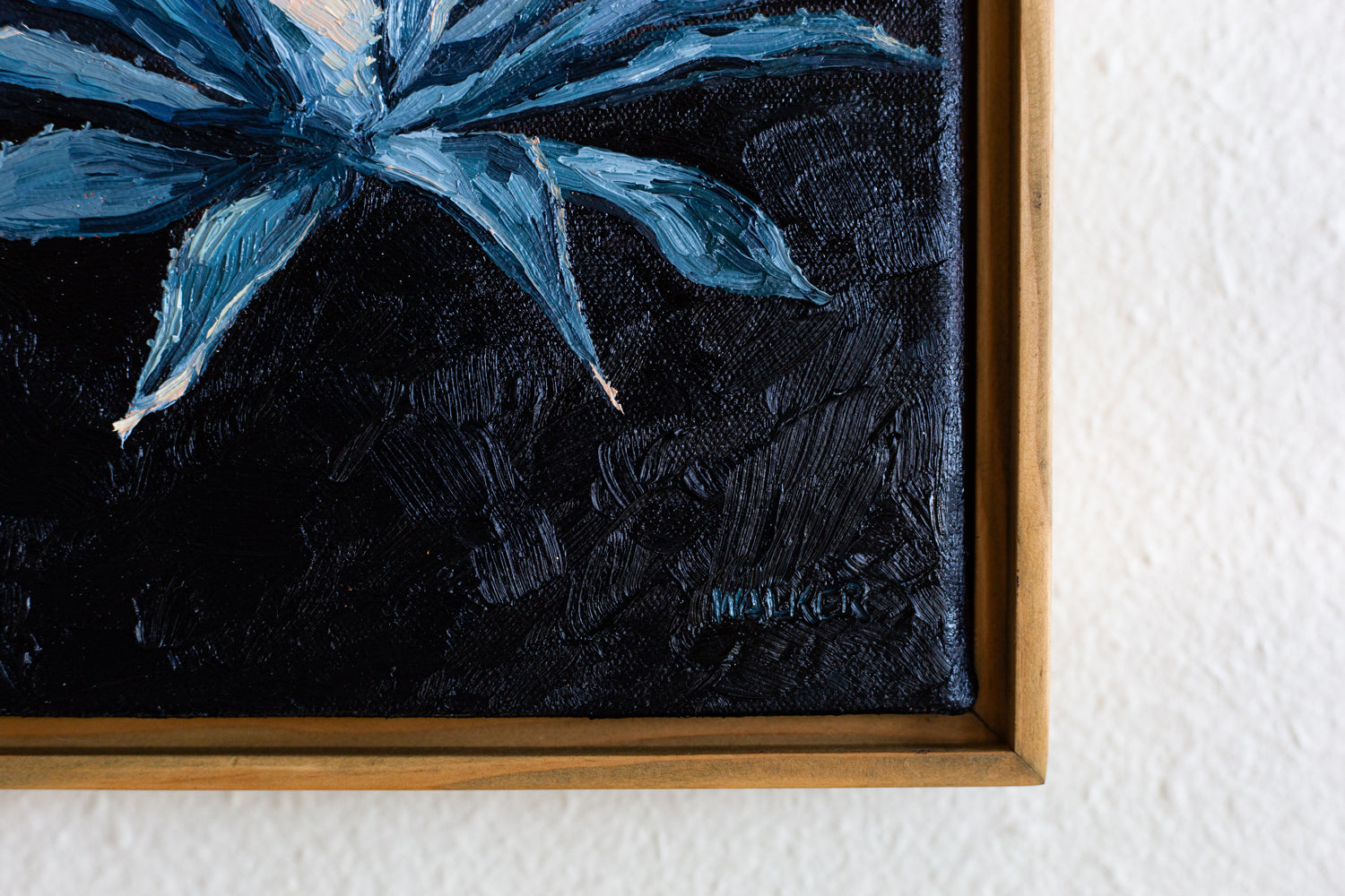 "SUNSET AGAVE CENTURY"