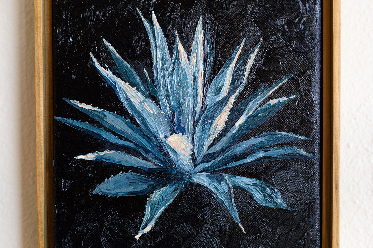 "SUNSET AGAVE CENTURY"