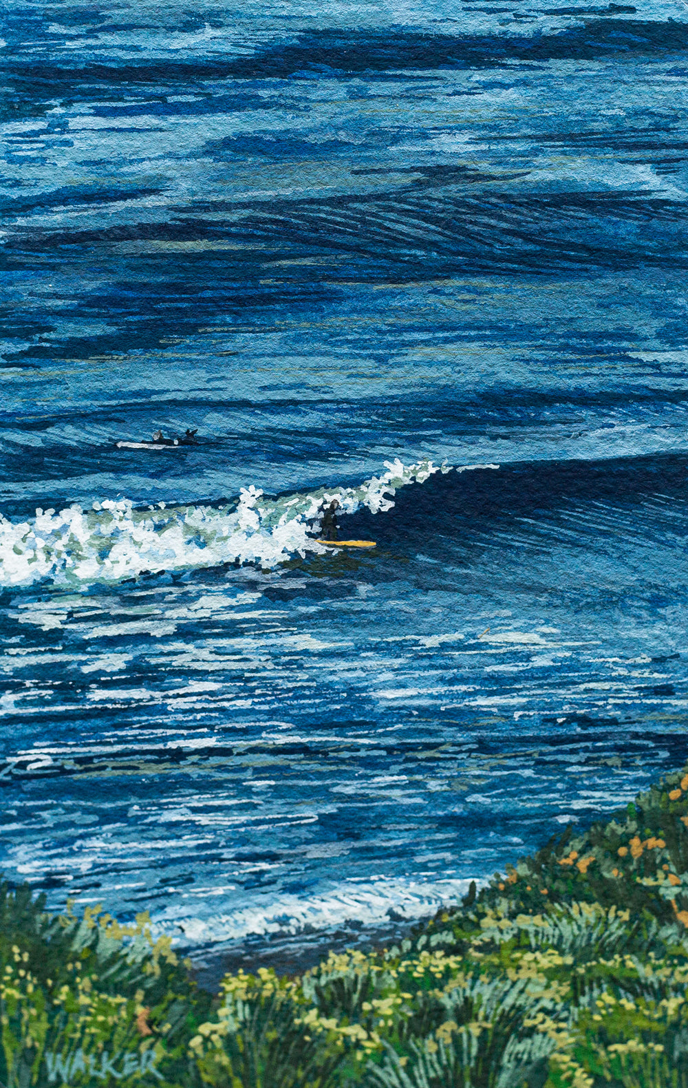 "SURFERS FROM ABOVE" STUDY