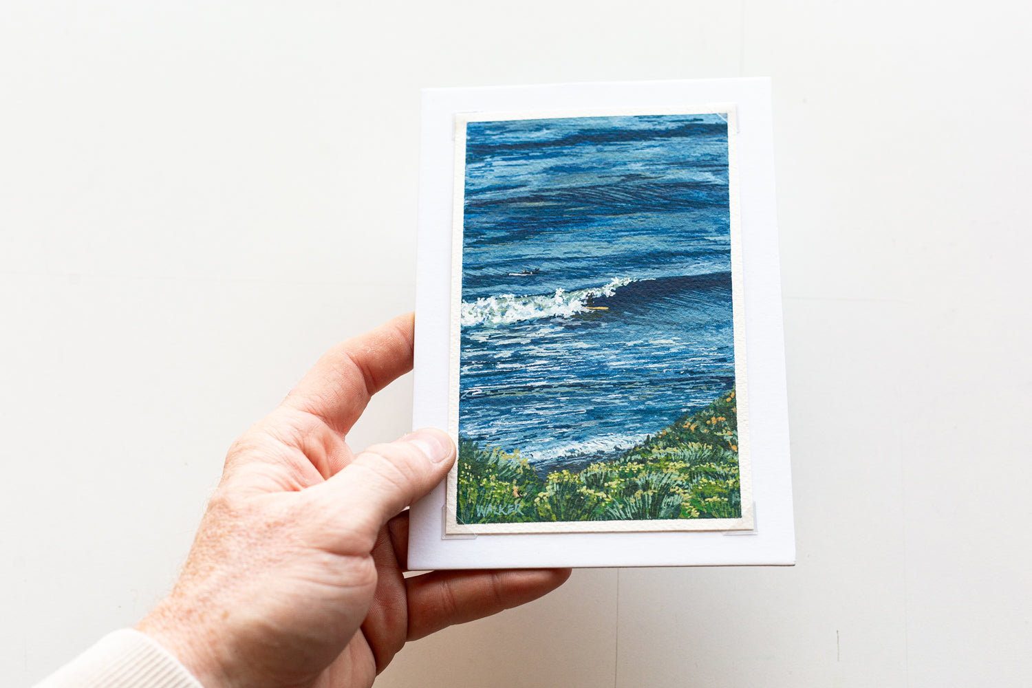 "SURFERS FROM ABOVE" STUDY