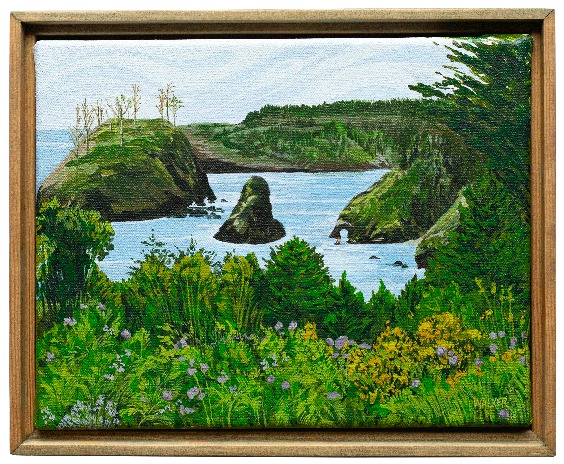 "THE PORTAL" STUDY