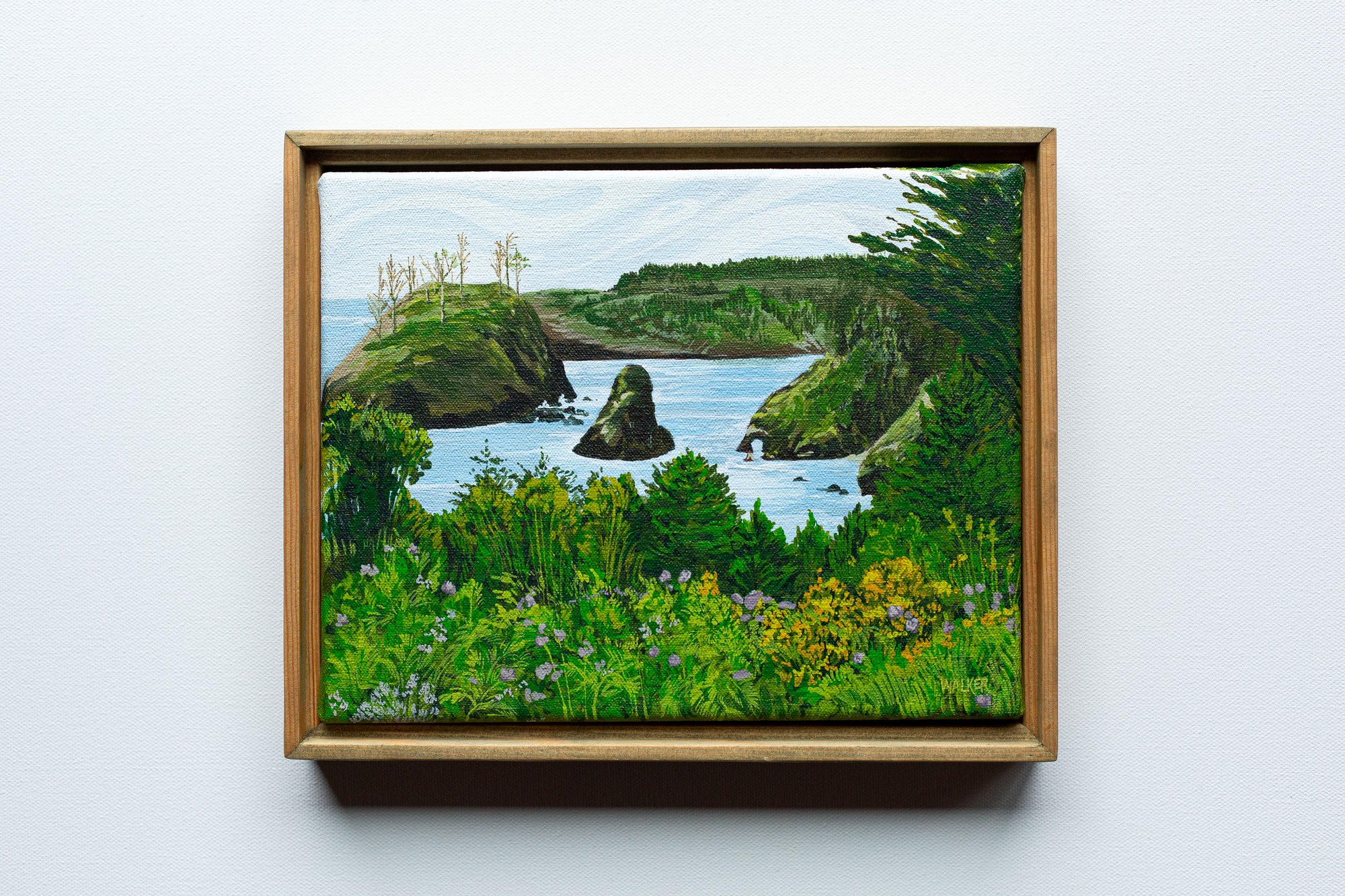"THE PORTAL" STUDY