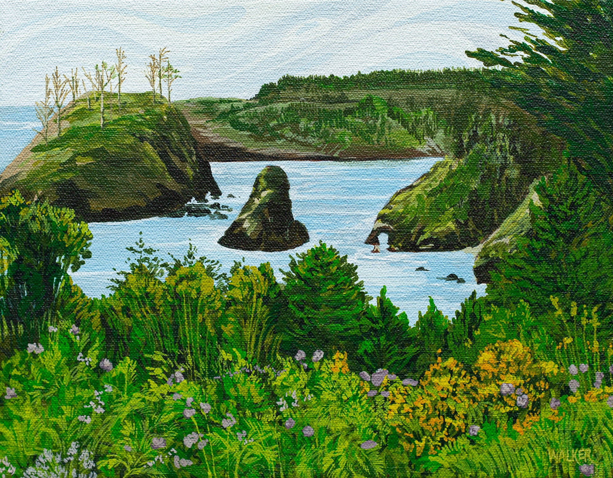 "THE PORTAL" STUDY