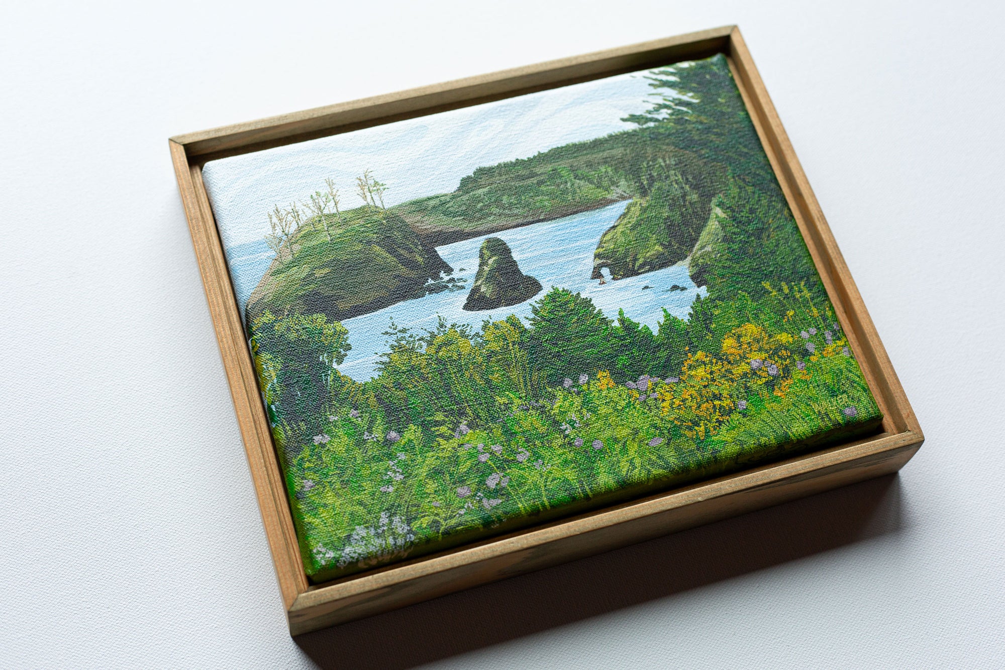 "THE PORTAL" STUDY