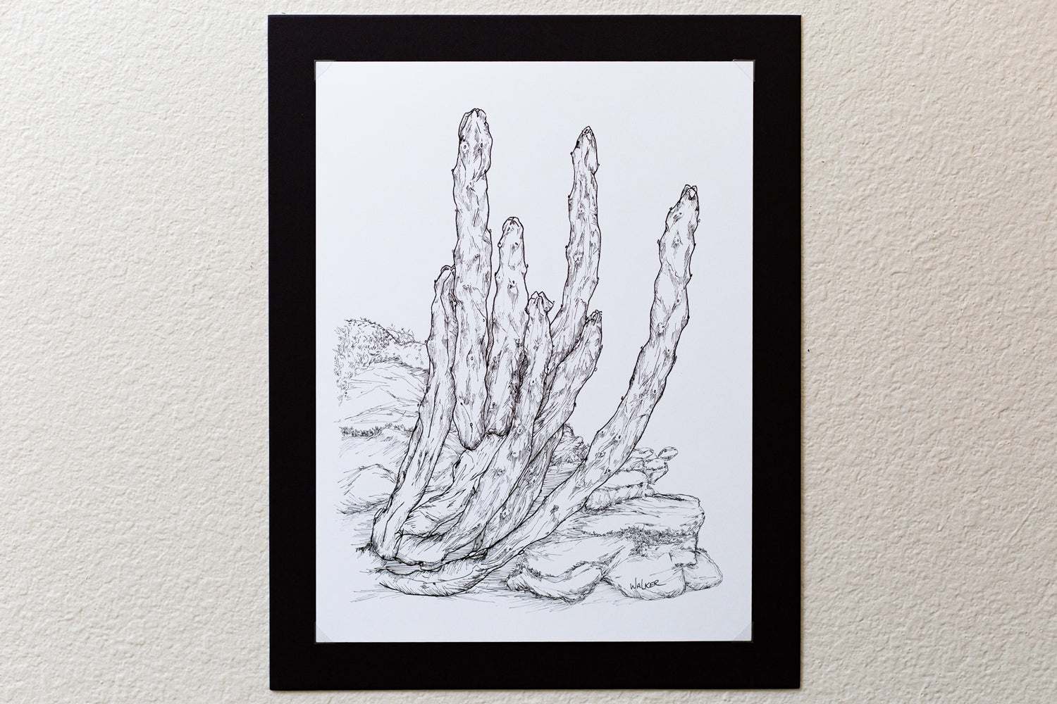 "Totem Pole Cactus" ILLUSTRATION