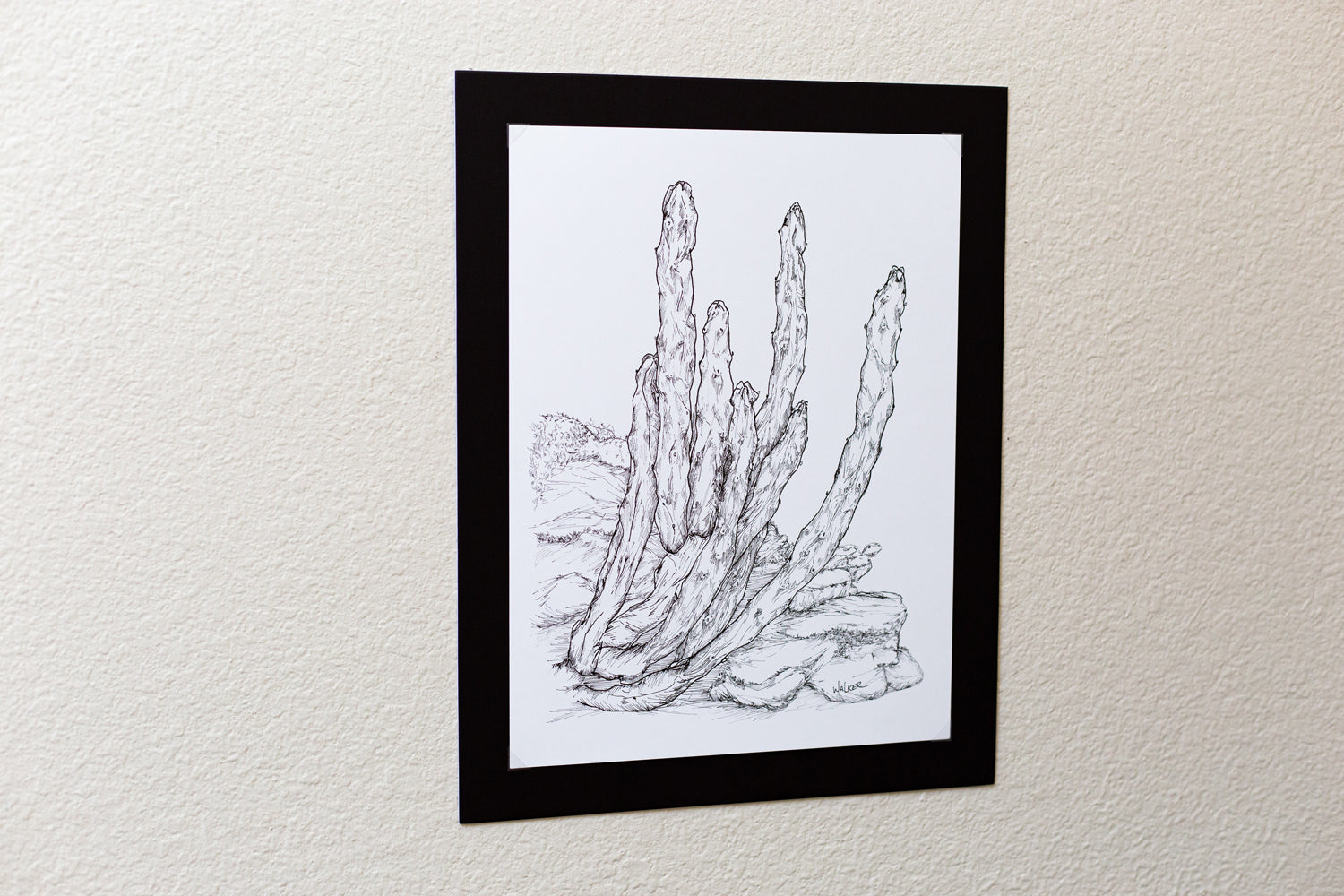 "Totem Pole Cactus" ILLUSTRATION