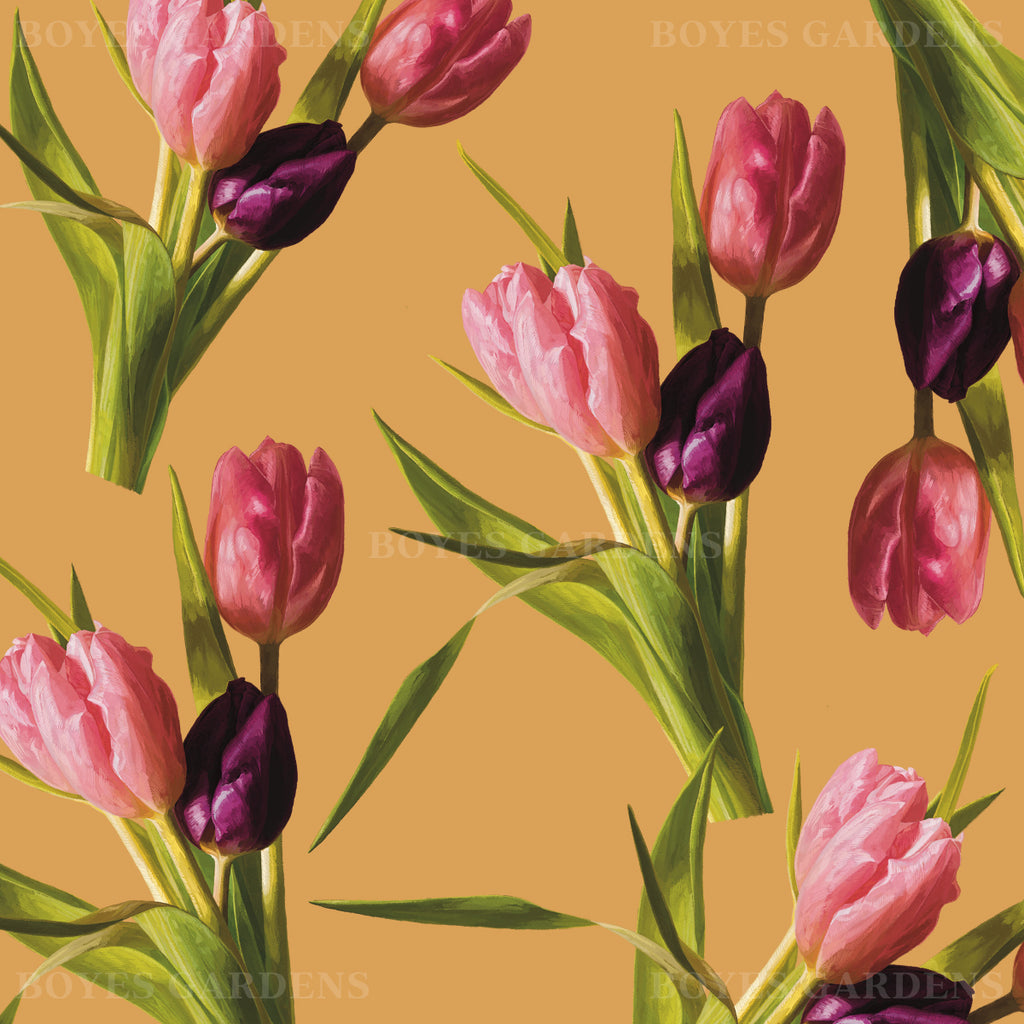 Tulip #1 Hand Illustration