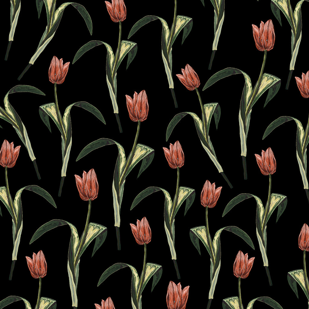 Tulip #4 Hand Illustration