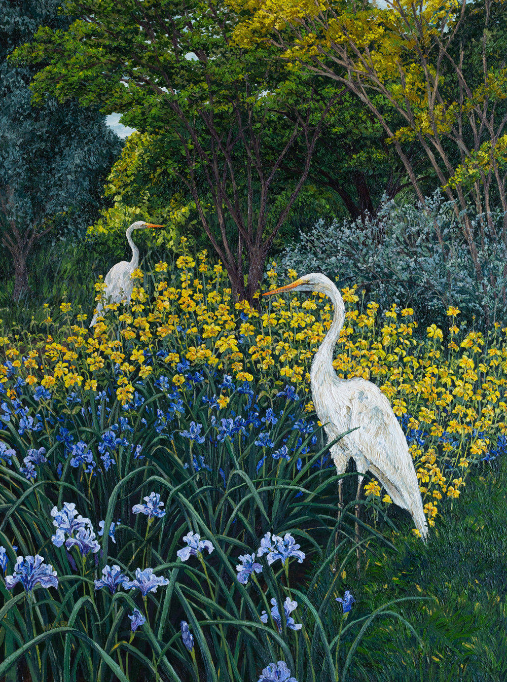 "TWO EGRETS"