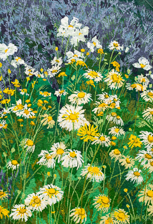 "WILD DAISIES" STUDY