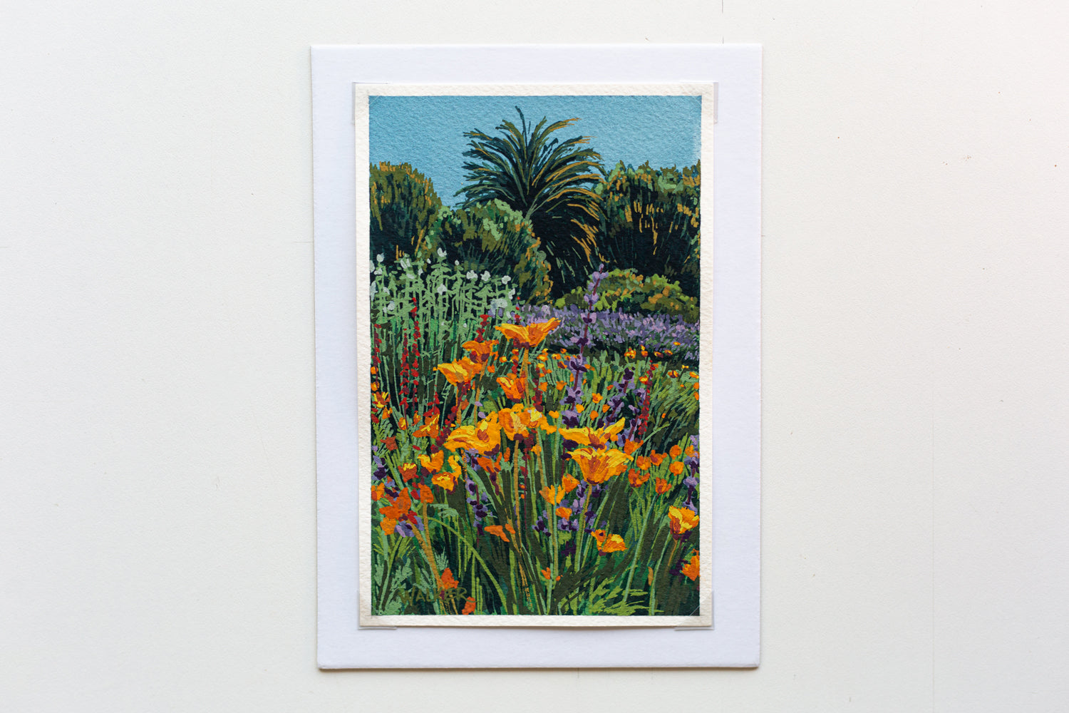 "WILD POPPIES" STUDY