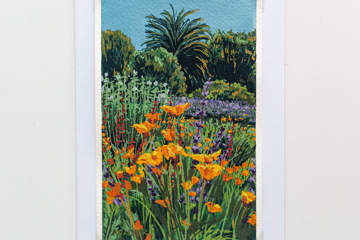 "WILD POPPIES" STUDY