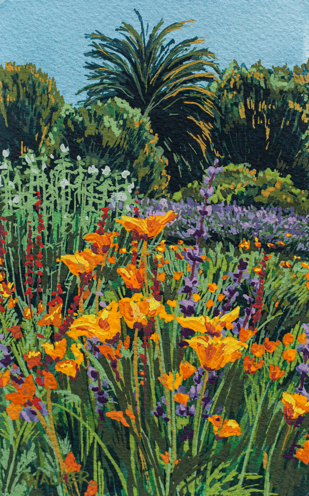 "WILD POPPIES" STUDY