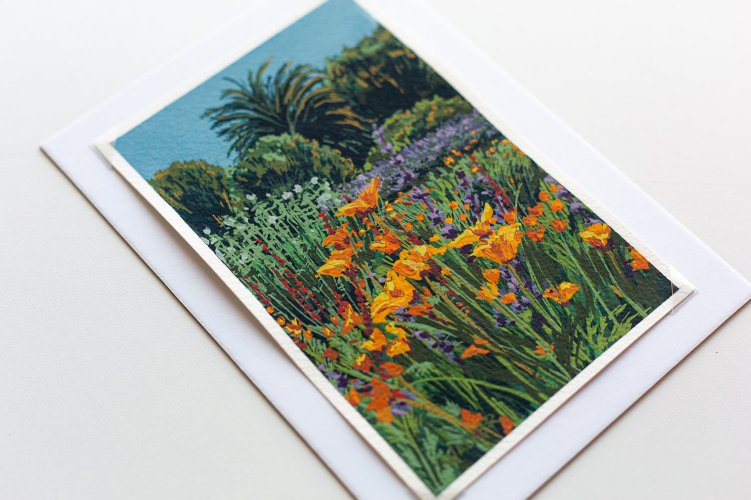 "WILD POPPIES" STUDY