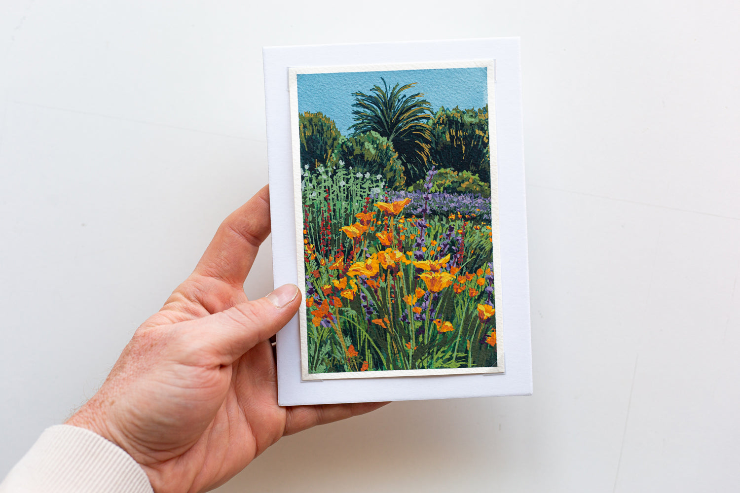 "WILD POPPIES" STUDY