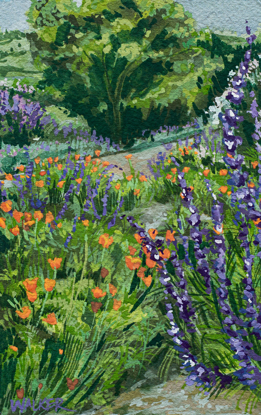 "Wild Poppies and Sage" PRINT