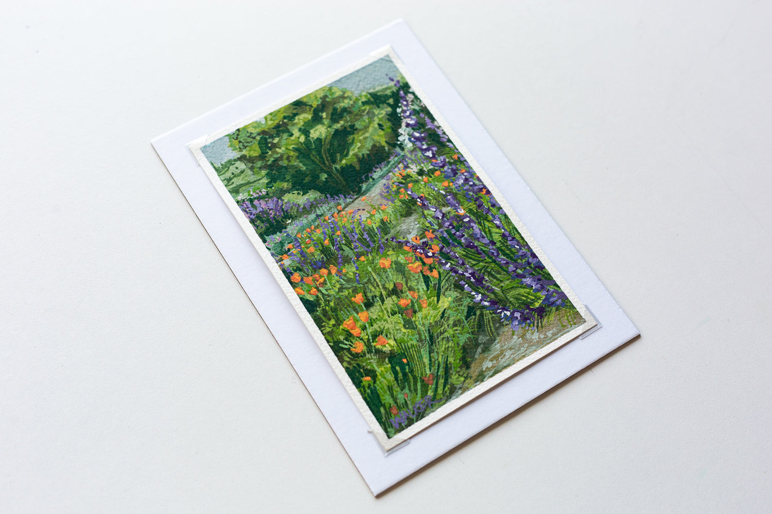 "WILD POPPIES AND SAGE" STUDY