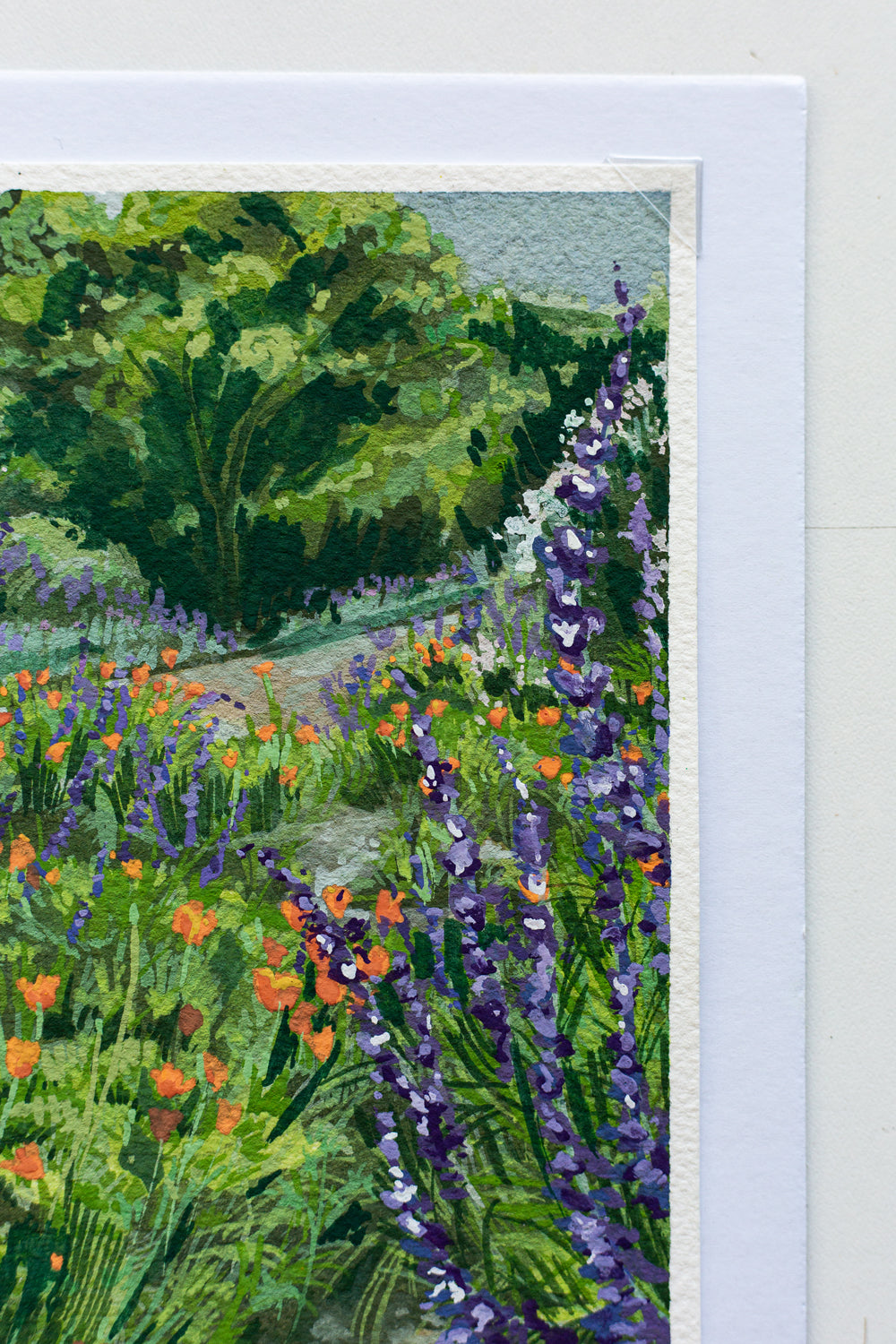 "WILD POPPIES AND SAGE" STUDY