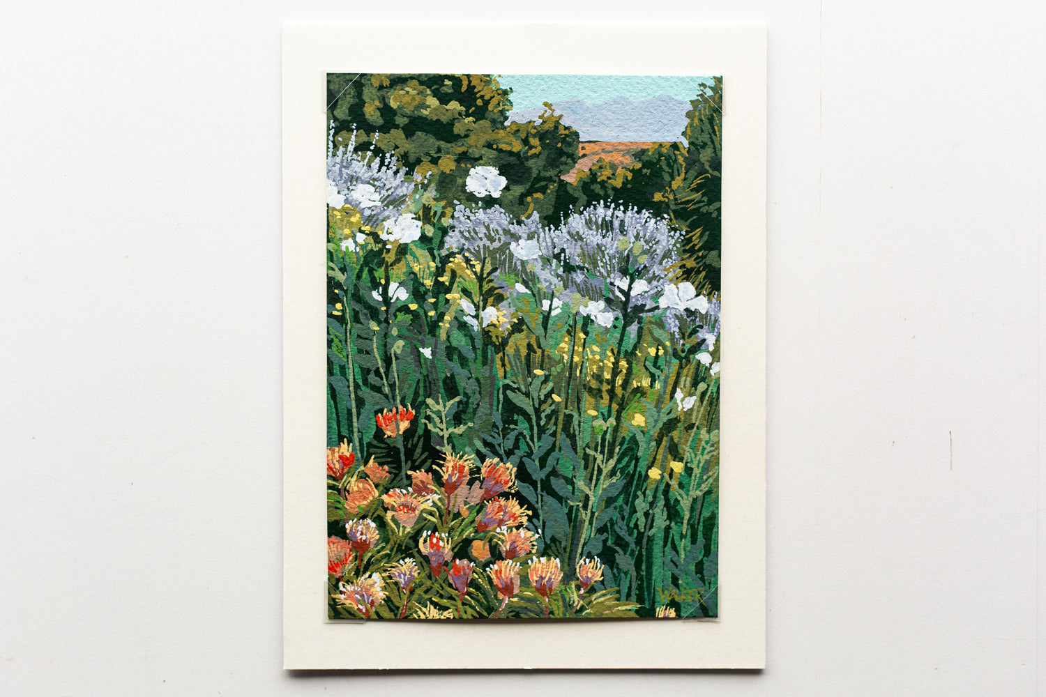 "WILDFLOWER PRESERVE" STUDY
