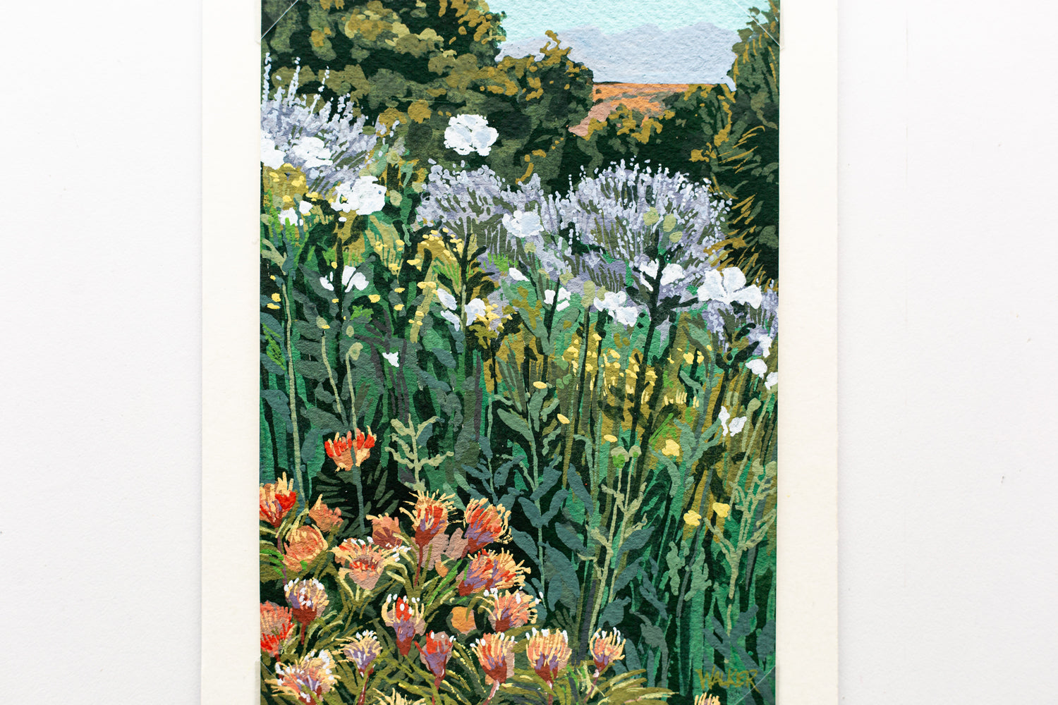 "WILDFLOWER PRESERVE" STUDY