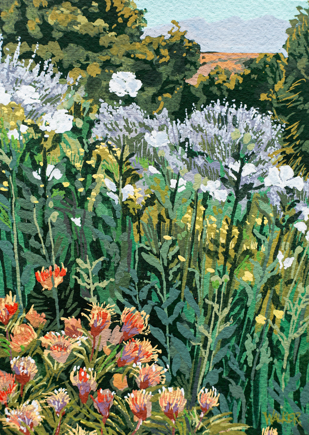 "WILDFLOWER PRESERVE" STUDY