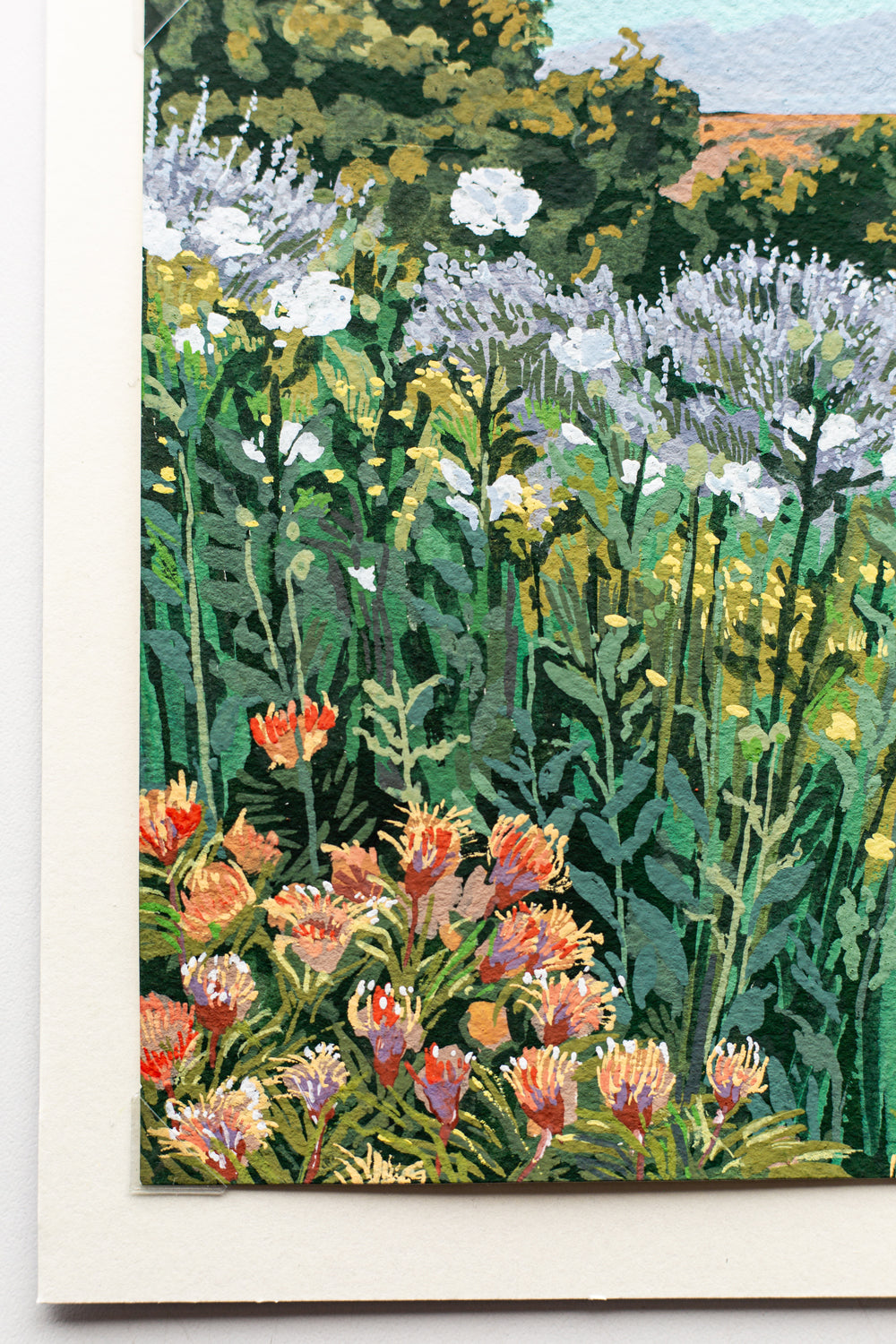 "WILDFLOWER PRESERVE" STUDY