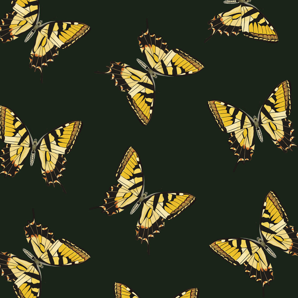 Yellow Butterfly #2 Hand Illustration