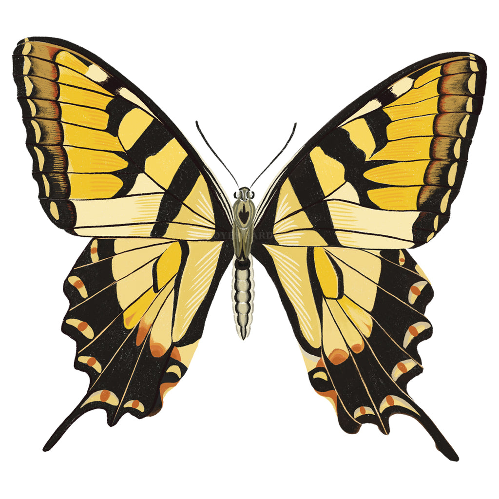 Yellow Butterfly #2 Hand Illustration